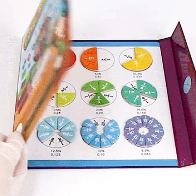 Math Magnetic Book ♟️ (102pcs) Learning Fractions/Division