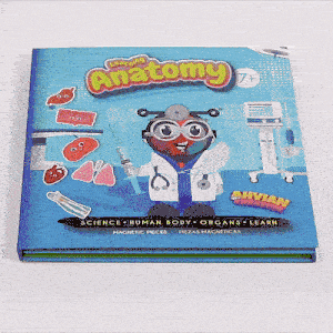 Anatomy Magnetic Book -Bilingual (40pcs)