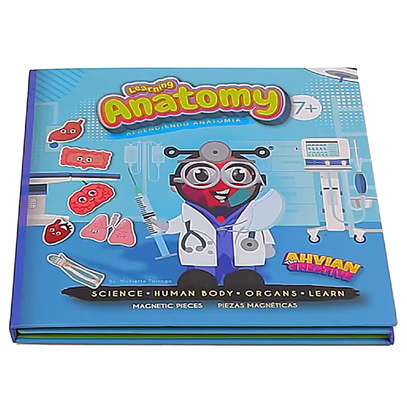 Anatomy Magnetic Book -Bilingual (40pcs)
