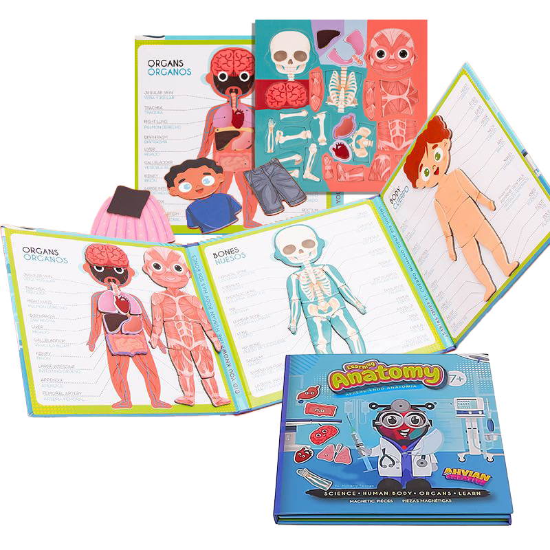 Anatomy Magnetic Book -Bilingual (40pcs)