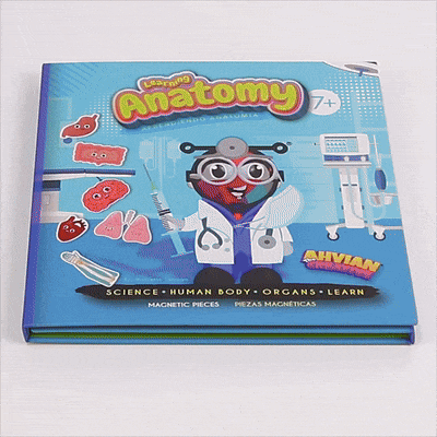 Anatomy Magnetic Book -Bilingual (40pcs)