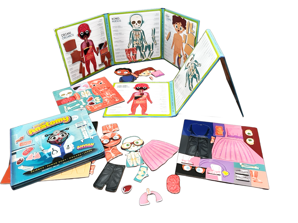 Anatomy Magnetic Book -Bilingual (40pcs)