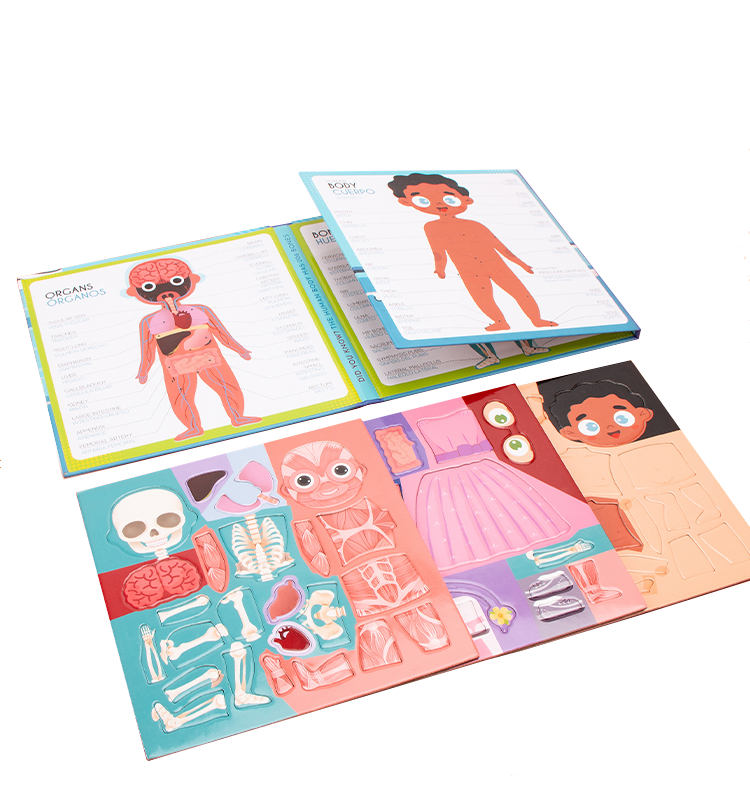 Anatomy Magnetic Book -Bilingual (40pcs)